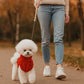 Pull chien TricotPerla  | ChienChaud