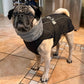 Manteau Chien Imperméable JasperDoggy | ThermoProtect