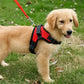 Chien harnais anti traction chien | Nora