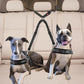 Laisse chiens double | CarFriends