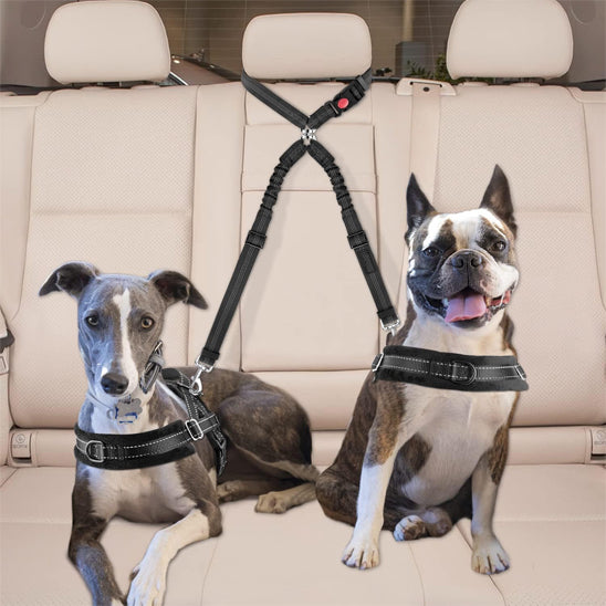 Laisse chiens double | CarFriends