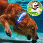 Collier Gps pour chien sans abonnement | GpsLightDoggy