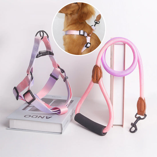 Chien harnais anti traction | Flashh