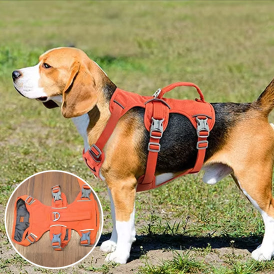 Harnais anti traction chien | CareDog