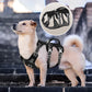 Harnais anti traction chien | CareDog