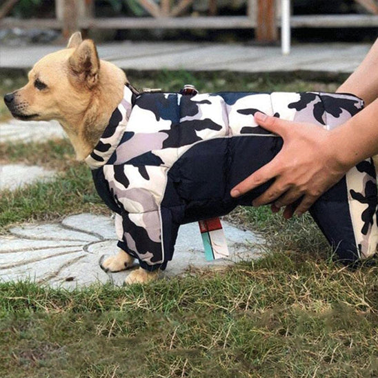 Manteau pour chien |  RetroDoggy