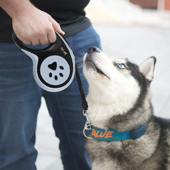 Laisse à enrouler pour chien | Bessy - TOUTOU VOYAGEUR