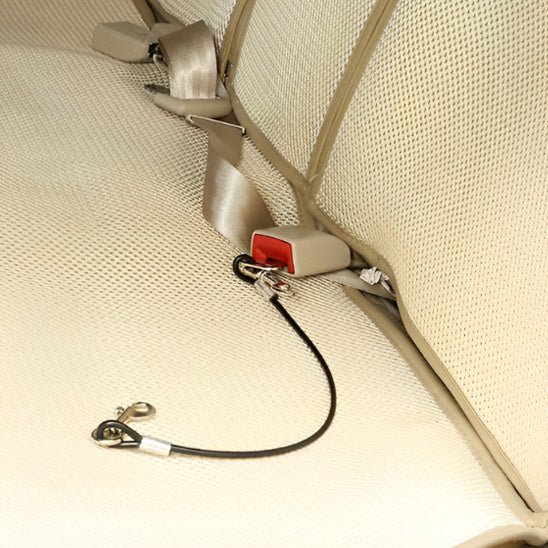 Laisse chien | Dog - CarLéo - TOUTOU VOYAGEUR