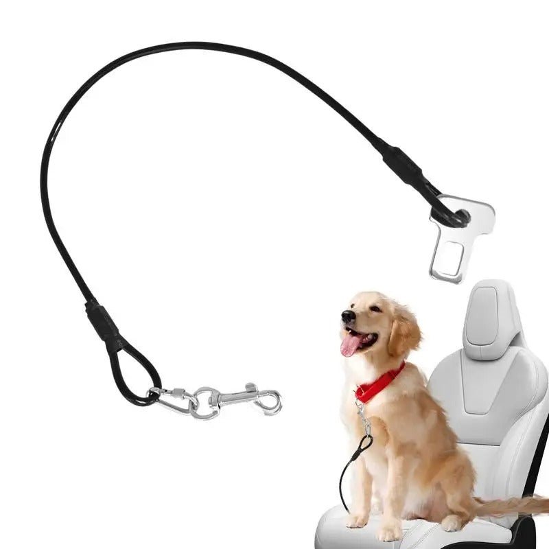 Laisse chien | Dog - CarLéo - TOUTOU VOYAGEUR