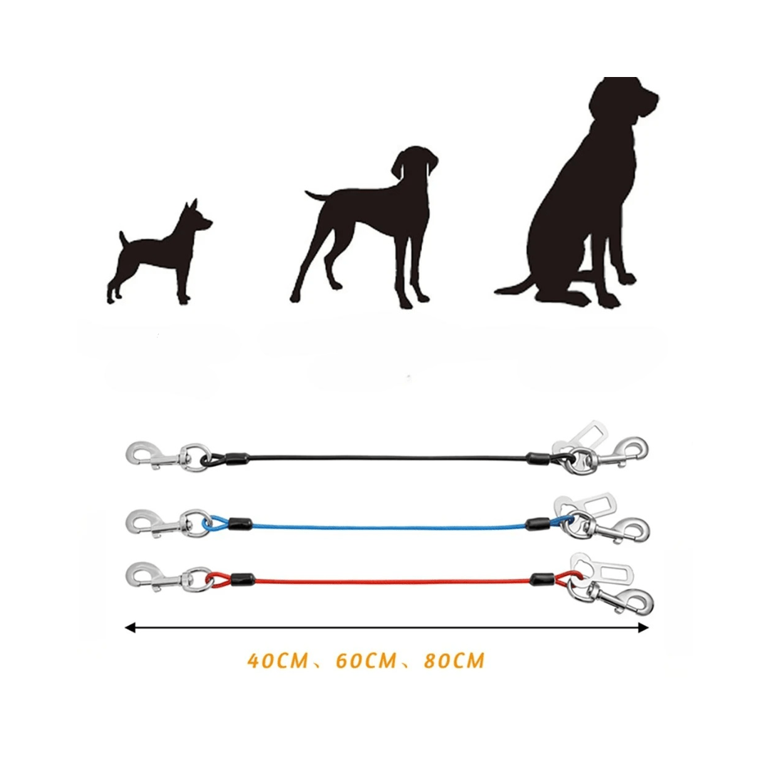 Laisse chien | Dog - CarLéo - TOUTOU VOYAGEUR