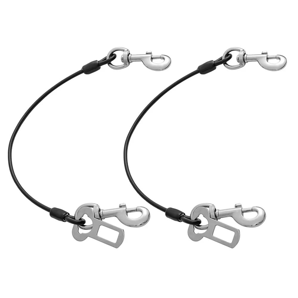 Laisse chien | Dog - CarLéo - TOUTOU VOYAGEUR