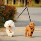 Laisse double chien | Crapette - TOUTOU VOYAGEUR