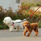 Laisse double chien | Crapette - TOUTOU VOYAGEUR