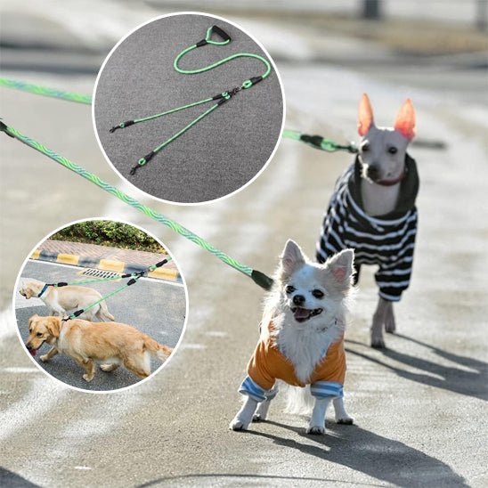 Laisse double pour chien | Lou & Zou - TOUTOU VOYAGEUR