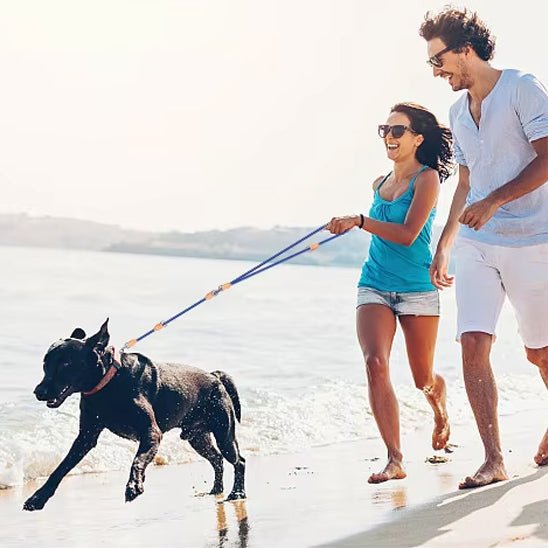 Laisse double pour chien | LovYou - TOUTOU VOYAGEUR