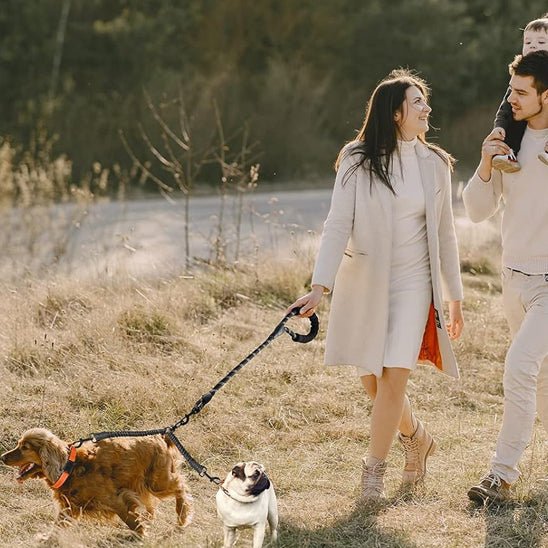 Laisse double pour chien | Olég & Vik - TOUTOU VOYAGEUR