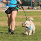 Laisse pour chien | DogJog - TOUTOU VOYAGEUR