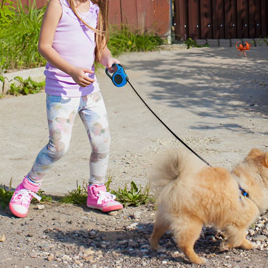 Laisse pour chien enrouleur | Jack - TOUTOU VOYAGEUR