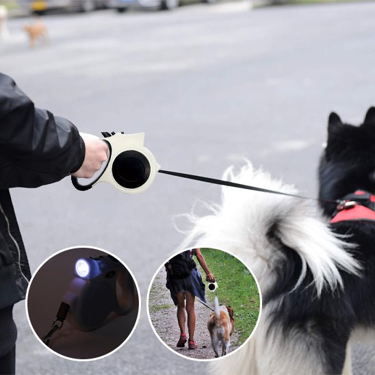 Laisse pour chien enrouleur | Max - TOUTOU VOYAGEUR