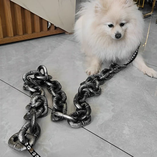 laisses pour chien | Chaîne - TOUTOU VOYAGEUR