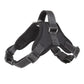 Chien harnais anti traction chien | Nora