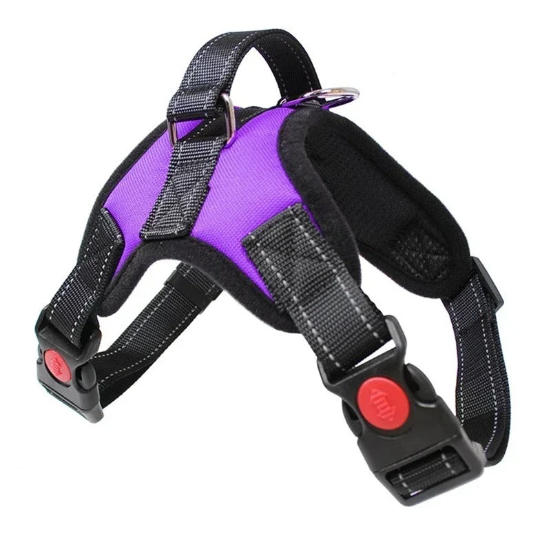 Chien harnais anti traction chien | Nora
