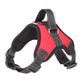 Chien harnais anti traction chien | Nora