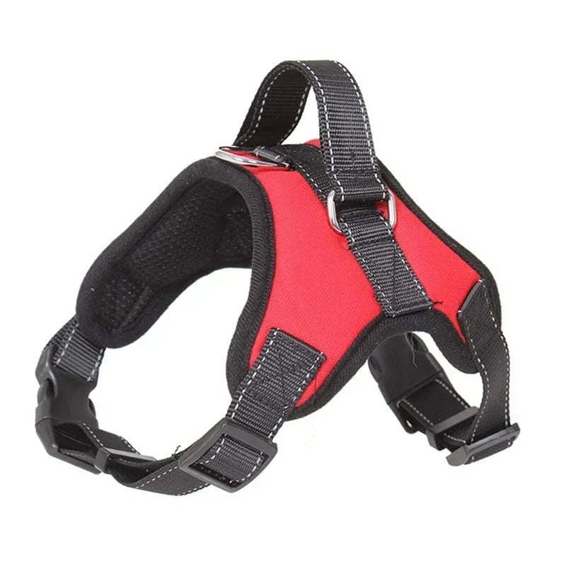 Chien harnais anti traction chien | Nora