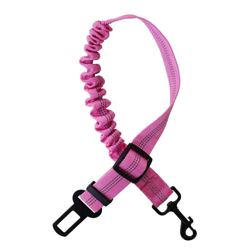 Laisse de chien | Pluton