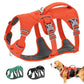 Harnais anti traction chien | CareDog