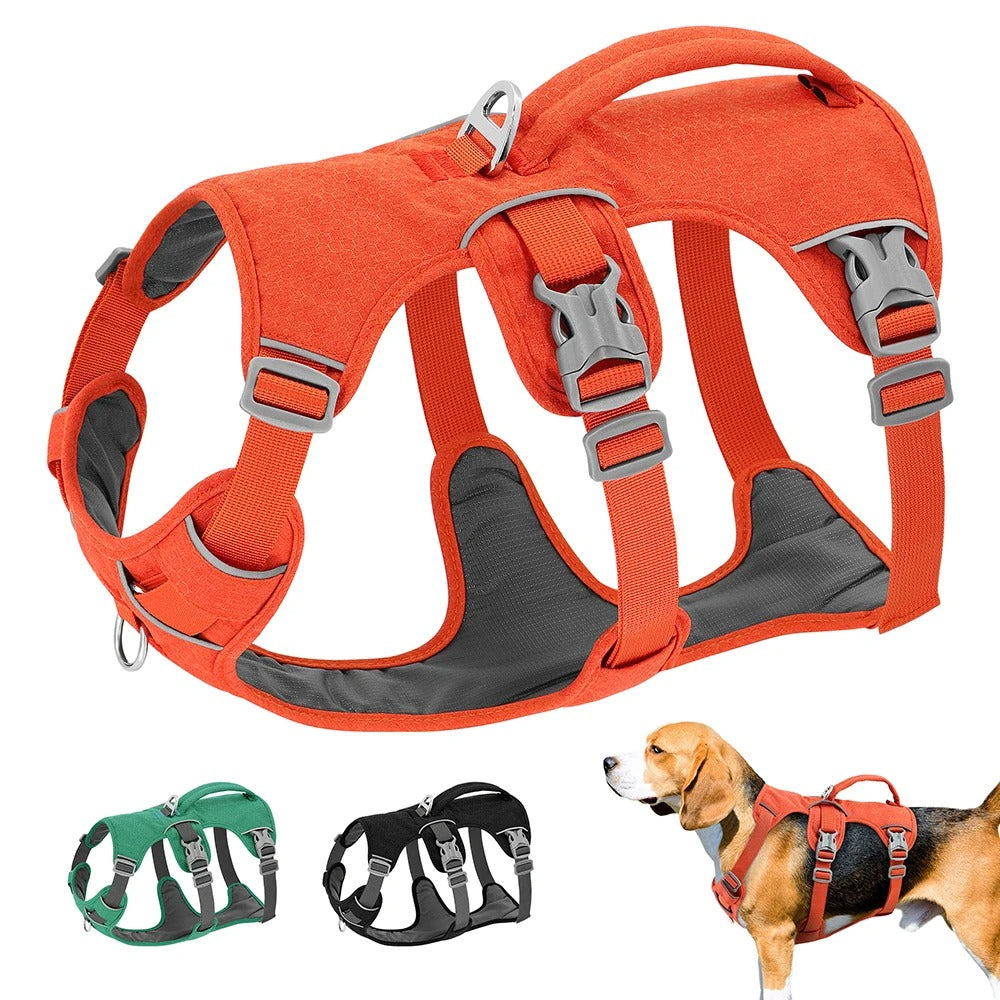Harnais anti traction chien | CareDog