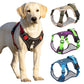 Harnais anti traction chien | NiceDog
