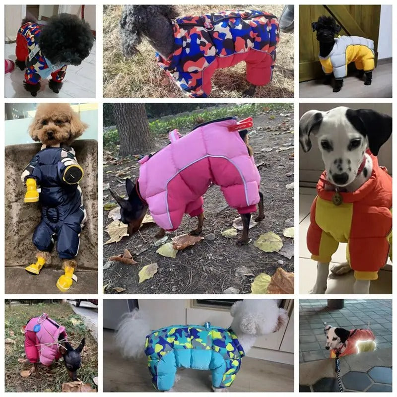 Manteau pour chien |  RetroDoggy