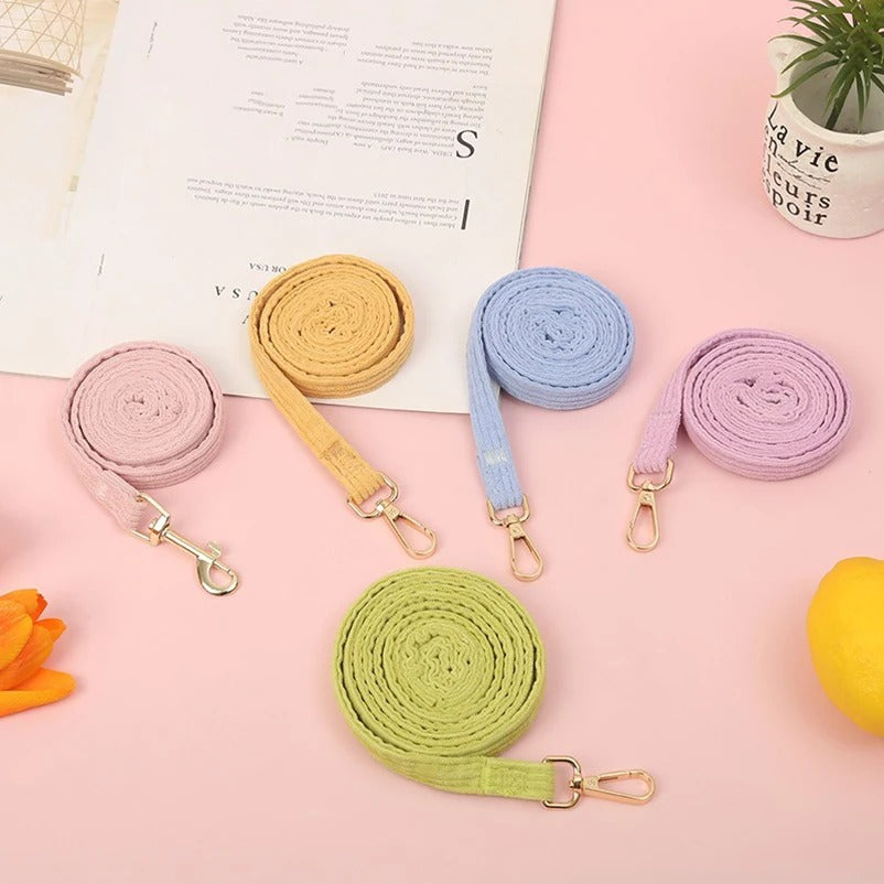 Harnais petit chien | Piccolo