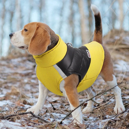 WafCoat Vêtement Imperméable pour Chien | Confort Premium