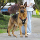 Harnais anti traction chien | NiceDog
