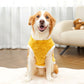 Pull chien - DouxPull | Thermique