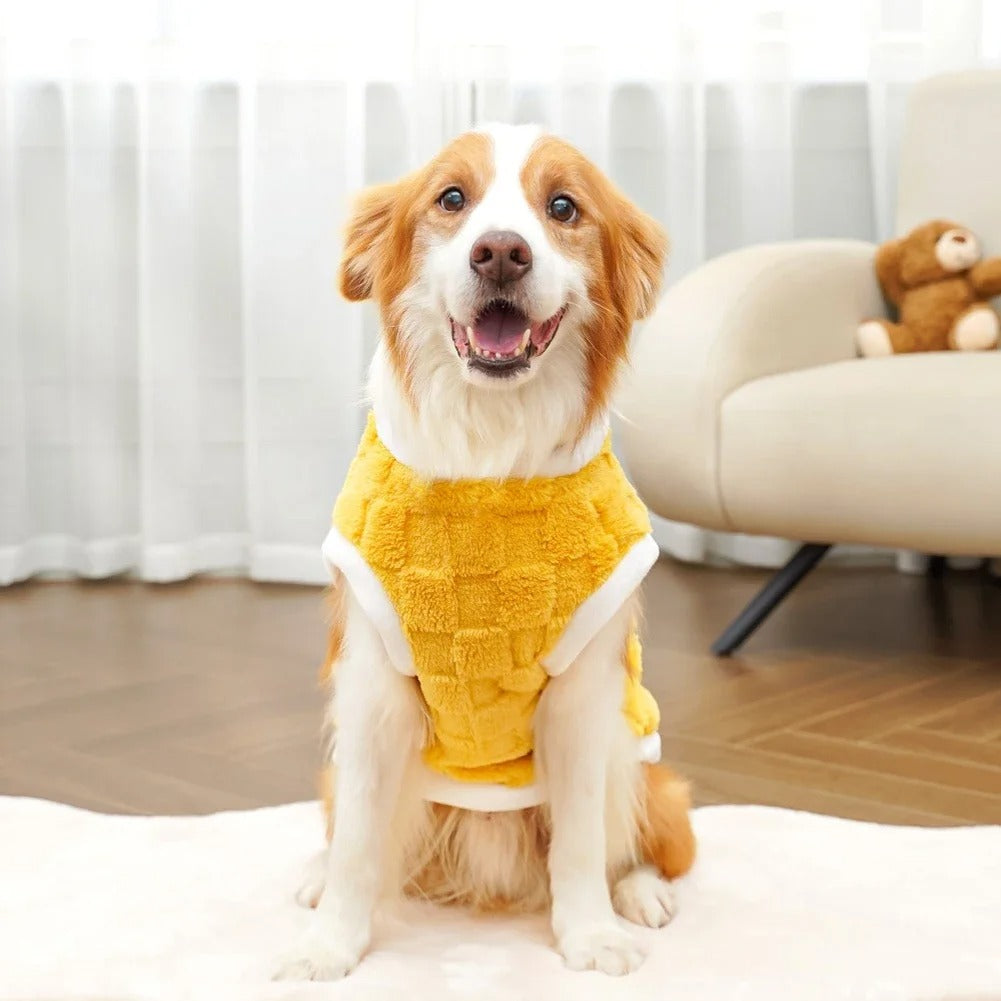 Pull chien - DouxPull | Thermique
