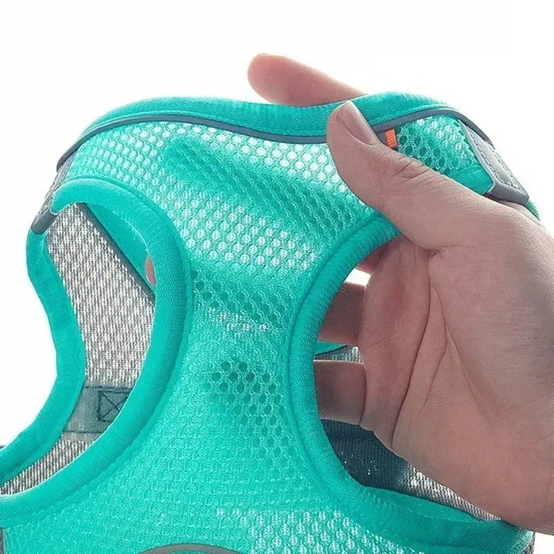 Harnais pour chien | Emma