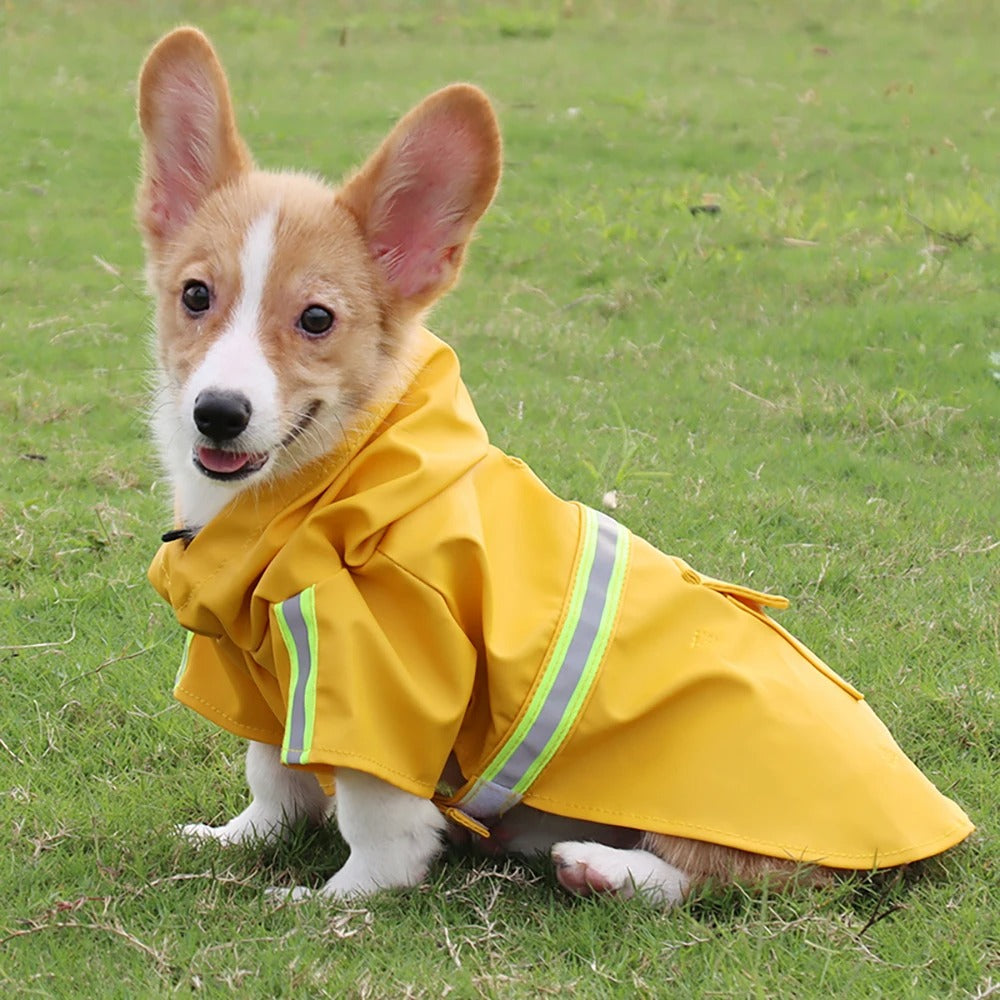 Manteau chien impermeable - RainCoat | Premium