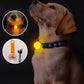 NightStar™ : Le Pendentif LED Idéal Pour Un Collier Lumineux Pour Chien - TOUTOU VOYAGEUR