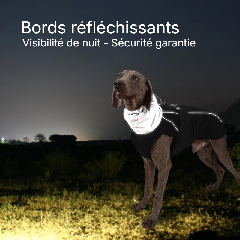 Manteau Chien Imperméable JasperDoggy | ThermoProtect