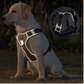 Harnais anti traction chien | NiceDog