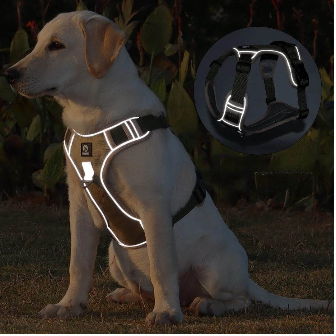 Harnais anti traction chien | NiceDog