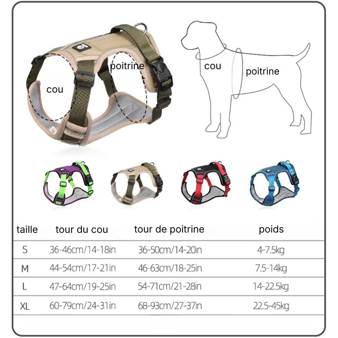 Harnais anti traction chien | NiceDog