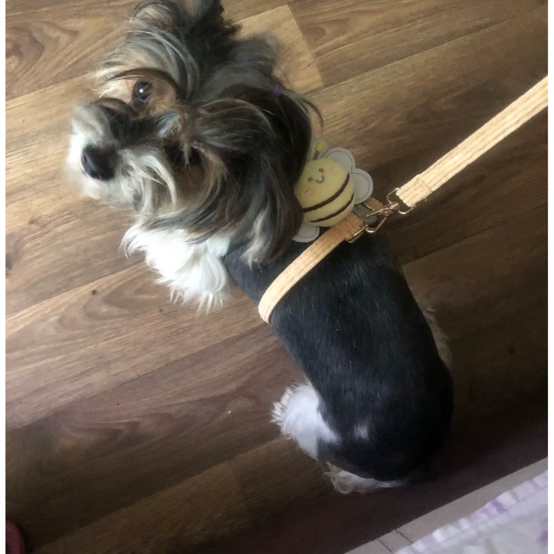 Harnais petit chien | Piccolo