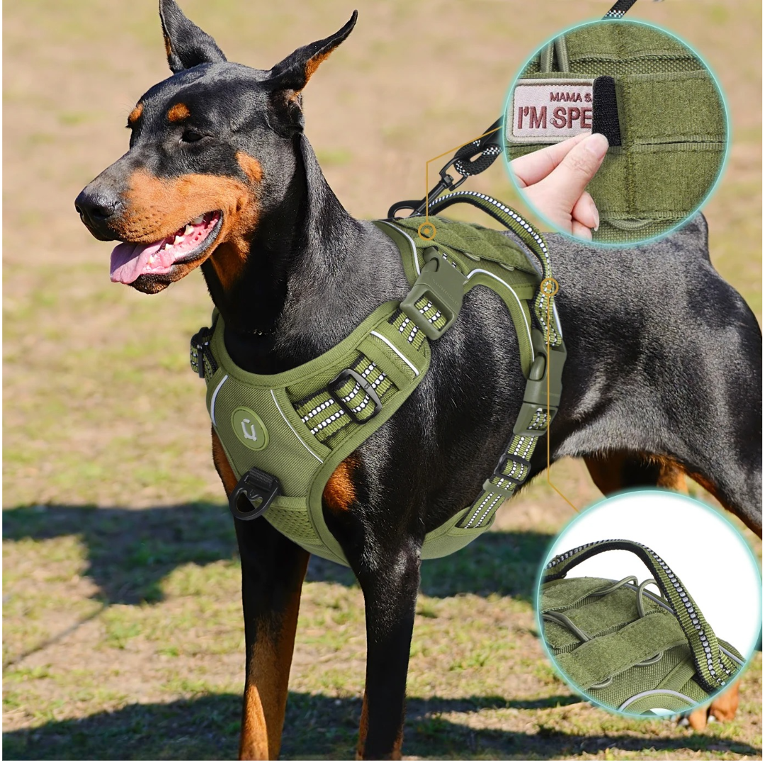 Harnais chien anti traction |  Movy