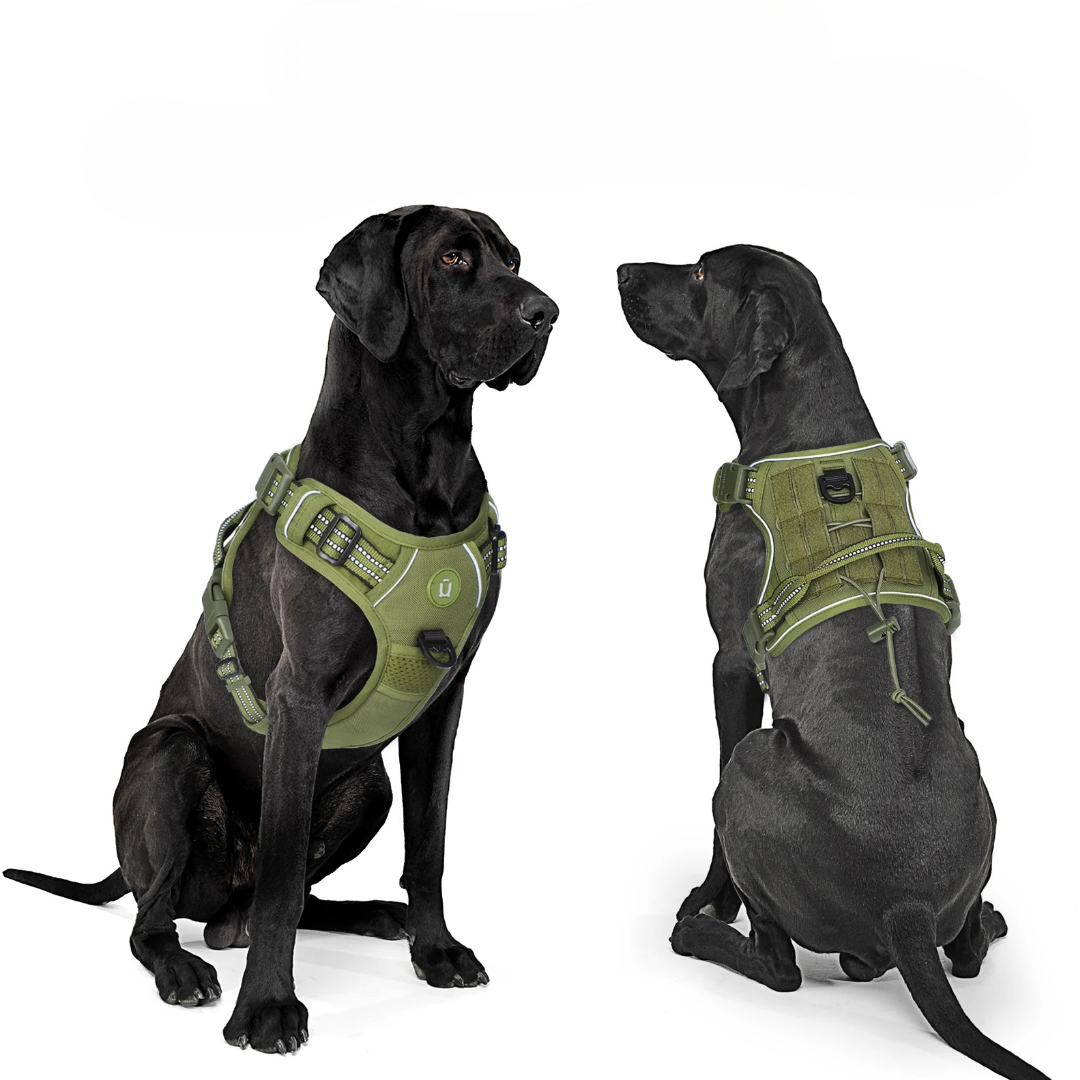 Harnais chien anti traction |  Movy