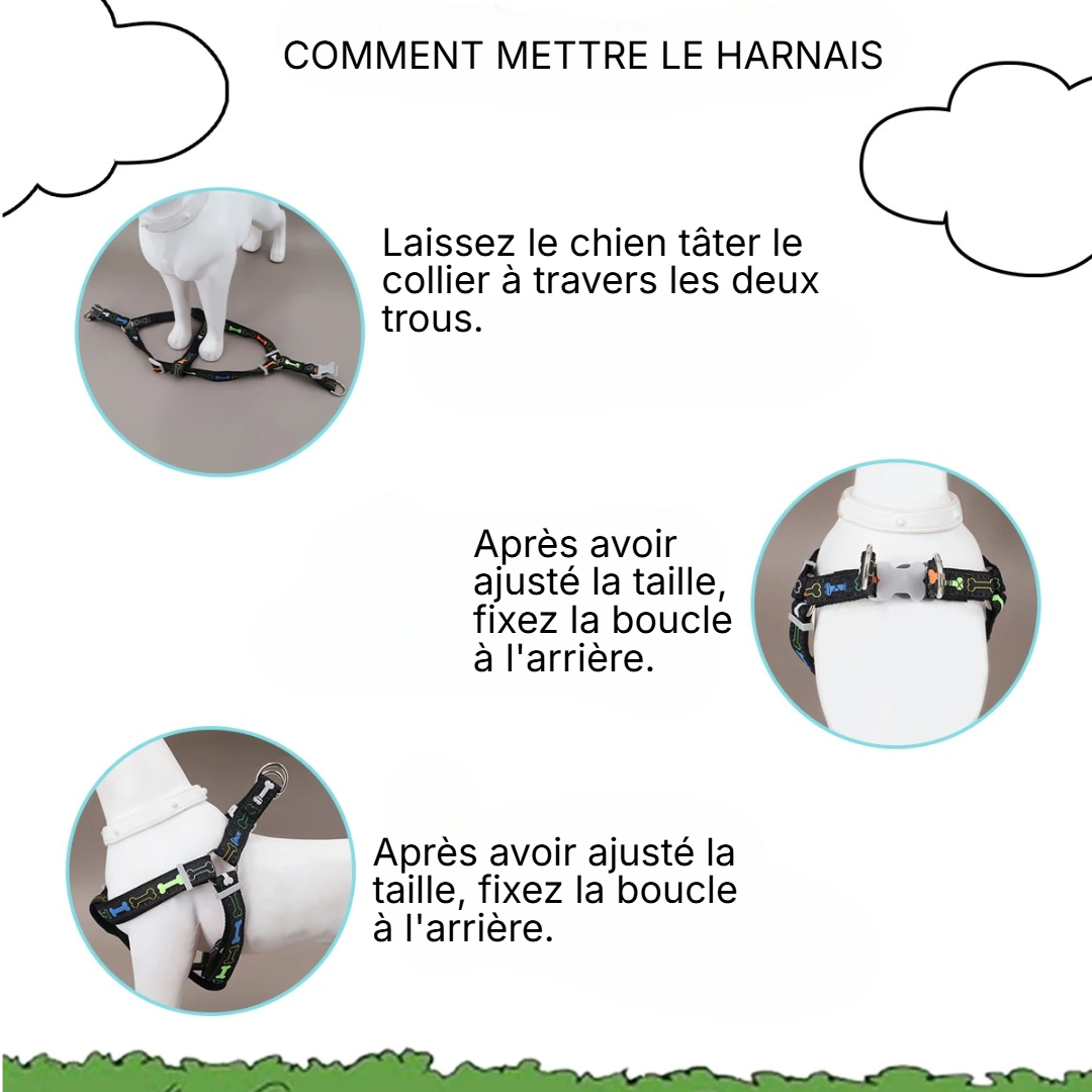 Harnais chien voiture | Os