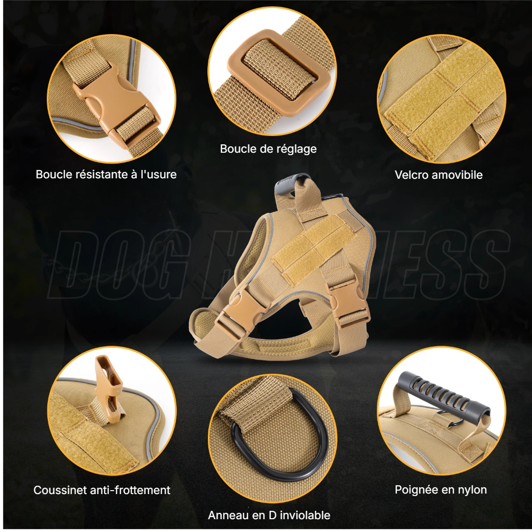 Chien  harnais | Tactic